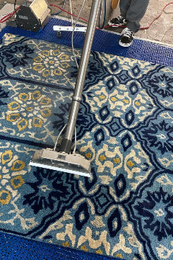 services-04 Aesthetic Rug Cleaning6