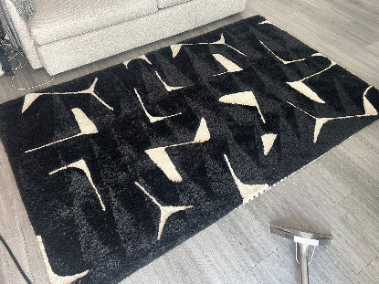 Aesthetic Rug Cleaning Aesthetic Rug Cleaning7
